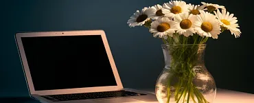 Как зарабатывать деньги в интернете на партнерских программах