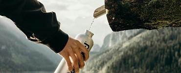 Биодинамика