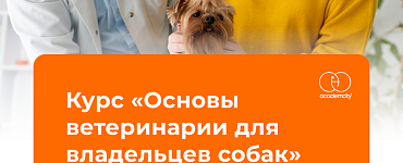 Основы ветеринарии для владельцев собак