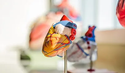 Курс «Источник жизни»