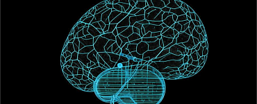 Нейросети для жизни: как повысить личную эффективность