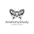 Онлайн-школа AnatomyStudy