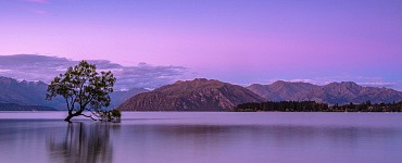 Психокоррекционная работа с детскими травмами, страхами, агрессией, психосоматикой в гештальт-подходе