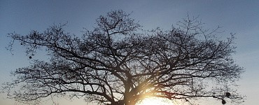 Финансовые программы предков. Линия мамы