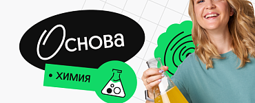 Химия. Основа. Подготовка к ЕГЭ 2024 с любого уровня