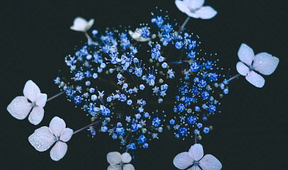 Интенсив «Как вернуть энергию»