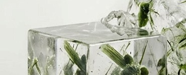 Карьерный поворот