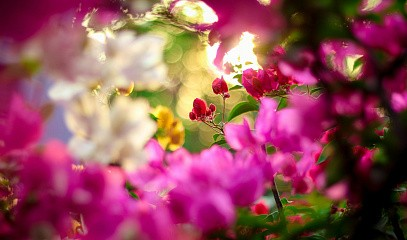 Марафон «Как избавиться от лишнего веса, восстановить ЖКТ, вернуть красоту и молодость»