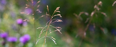 Обновление пустотой