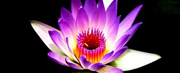 Подбор метода випассаны для повседневной практики медитации