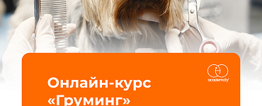 Груминг
