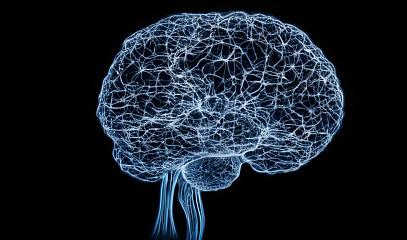 Вебинар «Кратчайший путь в IT: как зерокодинг и нейросети помогут сделать самую быструю IT-карьеру»