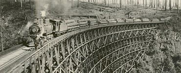 Ревизор по безопасности движения