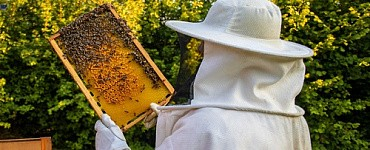 Зоотехния + Пчеловодство