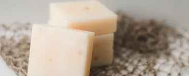 Лучшие сыры мира в твоем доме