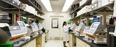 Диспетчер в сектор дозаривания бананов