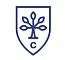 City Business School