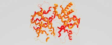 Специальное дефектологическое образование (760 ч)