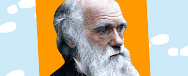 Подготовка к олимпиадам по биологии для 8-9 класса