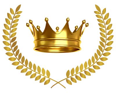 Логотип Школа эмоционального интеллекта New Skill