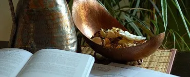 Алгоритм жизненного цикла человека