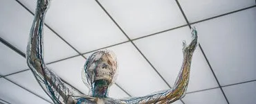 Опорно-двигательный аппарат