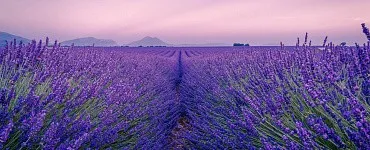 Книга женского счастья. Все о чем мечтаю