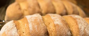 Итальянская закваска Левито мадре для начинающих