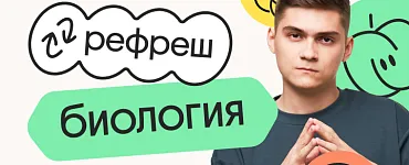 Биология. Рефреш. Эффективное повторение перед ЕГЭ 2024