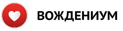Логотип Школа водительского мастерства «Вождениум»