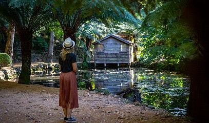 Марафон «Мой лучший дом по фэншуй»