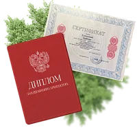 Пример документа