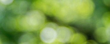 Когнитивно-поведенческая психотерапия