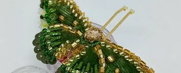 Бархатная бабочка