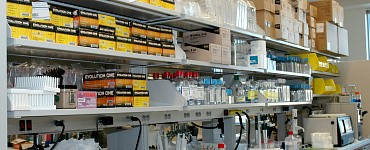 Внутренний лабораторный контроль