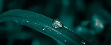Техника массажа Raindrop Tecnnique
