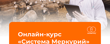 Система Меркурий