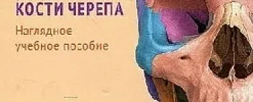 Анатомия человека. Кости черепа. Карточки: наглядное учебное пособие