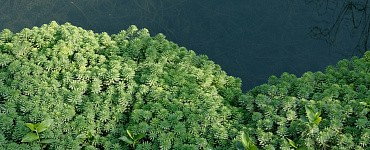 Специалист по экологической безопасности