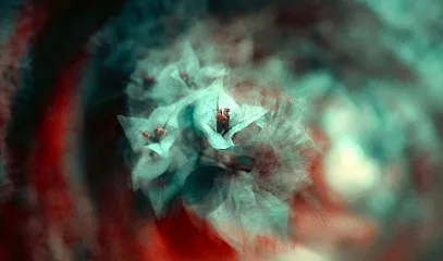 Вебинар «Как зарабатывать с помощью мак и таро? Как помочь себе и другим?»