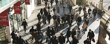 Онлайн курсы ЕГЭ 2024 по обществознанию в формате АнтиВебинаров