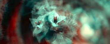 Культуролог-аниматор. Разработка и реализация досуговых программ для детей и взрослых (340ч)