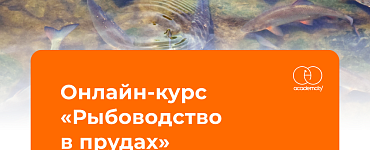 Рыбоводство в прудах