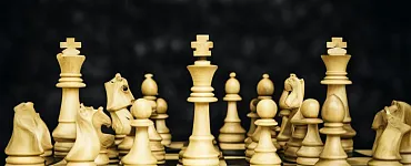 Педагог дополнительного образования. Преподавание курса «Шахматы» в общем и дополнительном образовании