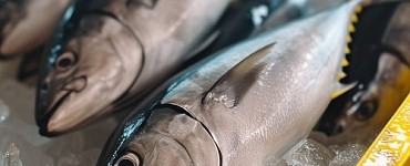 Зоотехния + Рыбоводство