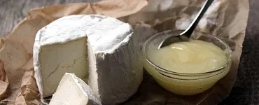 Домашний сыровар