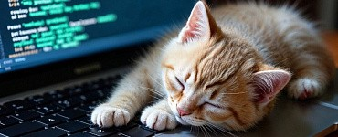 Программирование на языке Python