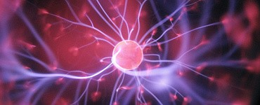 Нейроинженер