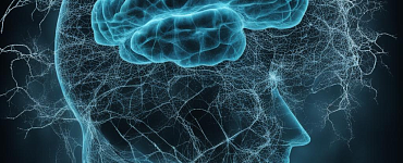 Нейросети: от принципов к практике