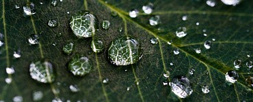 Тонкий и толстый кишечник. Антипаразитарные программы и мягкое очищение кишечника